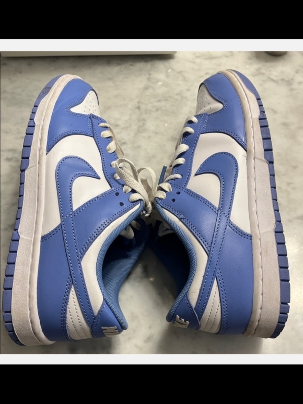 Nike Dunk Low Style Blue and White Sneakers